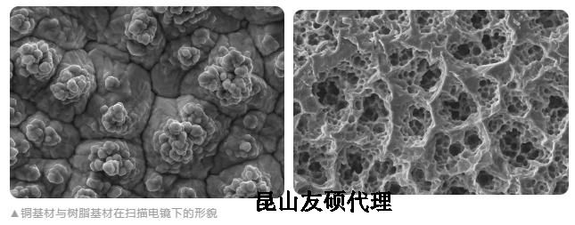 阜新蔡司阜新扫描电镜